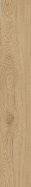 Grès cérame Monocibec Ashley nature rectifié 20 x 120 cm Réf. 0128419