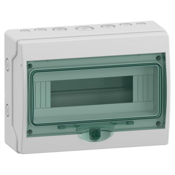 Coffret étanche Mureva Mini pour appareillage modulaire 267x200mm 12 Modules indices de protection IP65 et de résistance IK09, résistance au feu 750°C réf: 13960M