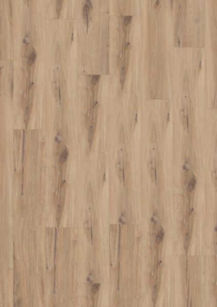Lame vinyle Virtuo 30 rigid AC daintree honey 5,4 x 229 x 1492 mm 39141455