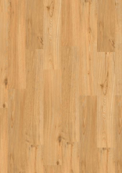 Lame vinyle Virtuo 55 Rigid acoustic sakia 5,7 x 229 x 1250 mm 39051118