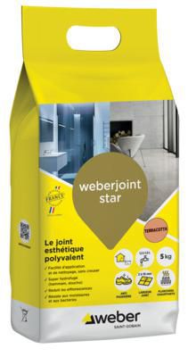 Mortier de jointoiement Weberjoint Star terraco T07 sac de 5 kg Réf. 11105181