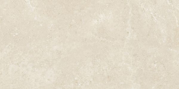 Grès cérame émaillé Century Rocknest maplerock naturel épaisseur 20 mm 50 x 100 cm Réf. 0141762