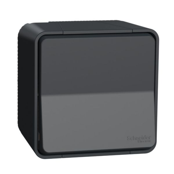 Mureva Styl - Va et vient - saillie - IP55 - IK08 - connexion auto - gris Réf.MUR35021