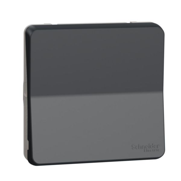 Mureva Styl - Va et vient - composable - IP55 - IK08 - connexion auto - gris Réf.MUR37021