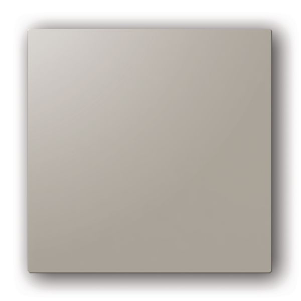 Image principale de Plaque design pour la grille fixe ColorLINE® - taupe - diamètre de 180 mm - s'adapte sur le support de plaque de 80 ou 125 mm 11022162