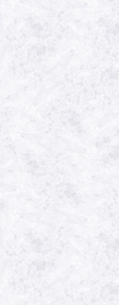 Panneau mural VIPANEL aspect marbre L 1000 x H 2550 mm épaisseur 3 mm blanc surface perlée Réf. 1420000014 / PMMAR100250303P