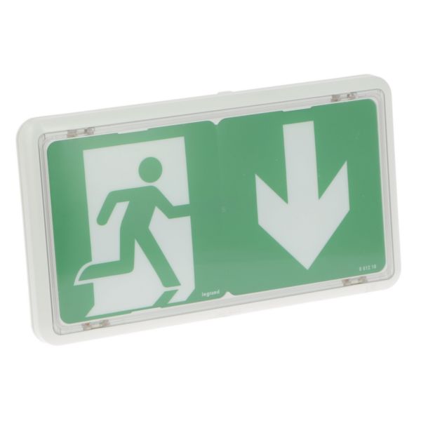 Legrand - BAES + BAEH d'évacuation saillie IP43 IK07 plastique SATI connecté pour ERP et ERT Réf : 62560