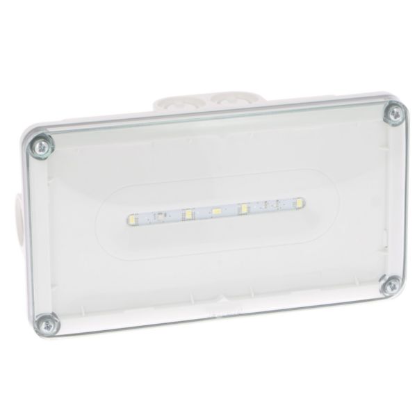 Legrand - BAES d'ambiance saillie IP66 IK10 plastique SATI adressable pour ERP et ERT Réf : 62666