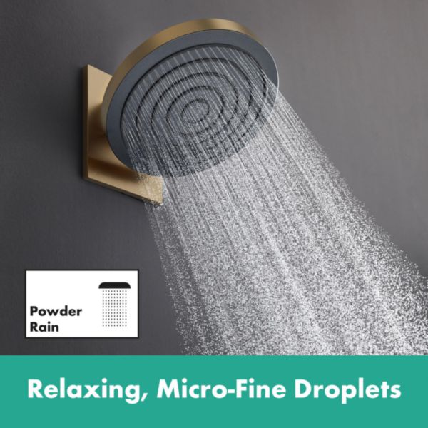 Image principale de hansgrohe Pulsify Raccord mural pour douche de tête 260, Bronze brossé