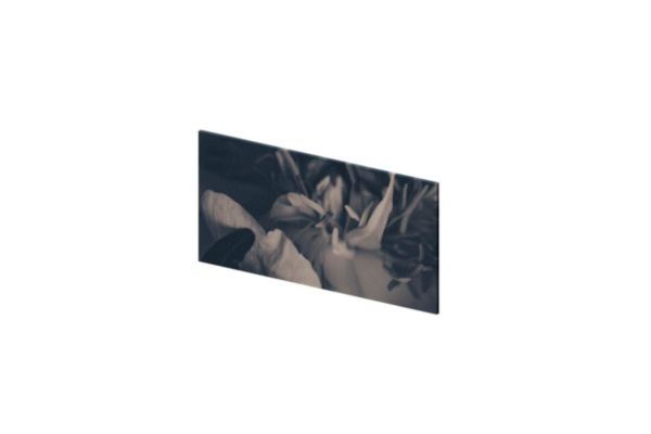 Crédence murale composite décorative Kinewall Crédence - matériau composite avec aluminium de 3 mm d'épaisseur, découpable et perçable - 61x30 floral
