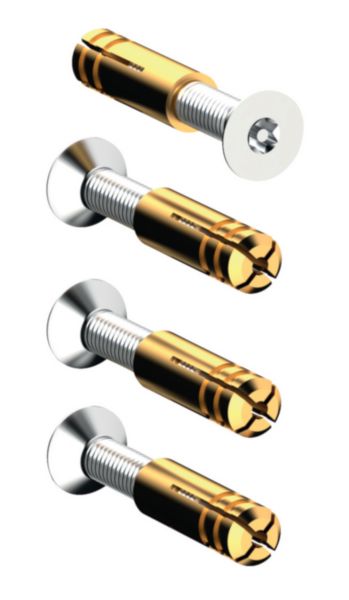 4 x Vis inviolables type TORX M5x25 + chevilles