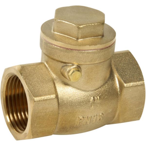 Image principale de Clapet simple battant laiton Série 321 femellle BSP à siège métal PN16 DN2"