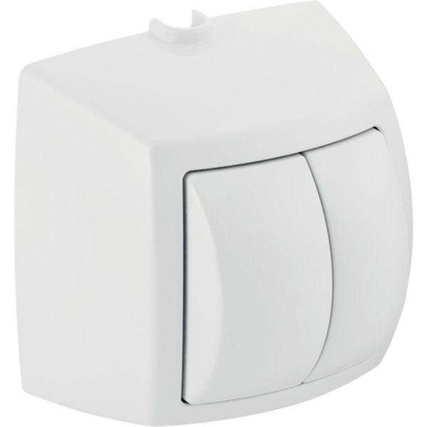Image principale de Poussoir à main Geberit pour rinçage double touche, pour commande de WC à déclenchement pneumatique du rinçage: chromé, chromé mat